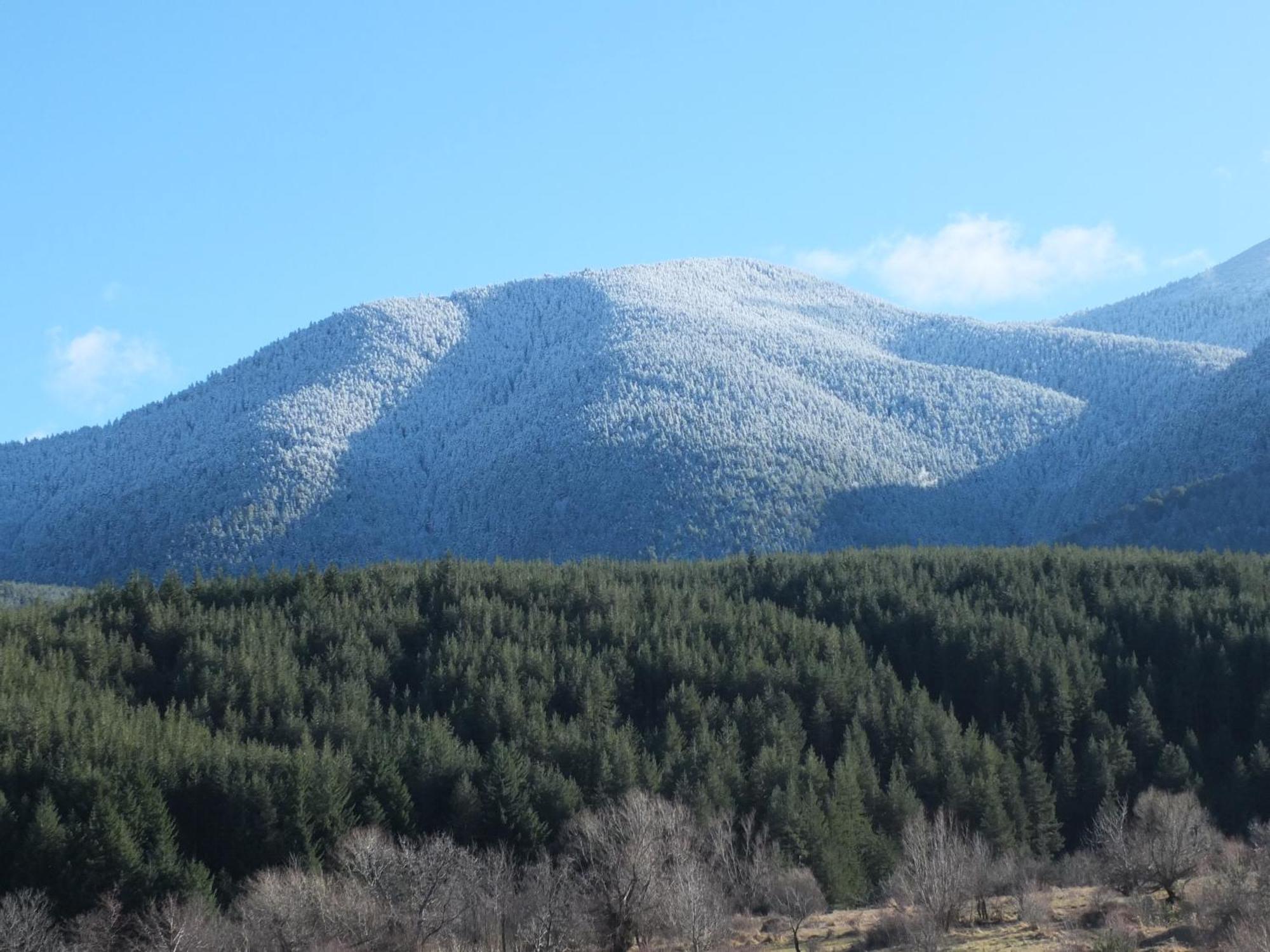 Pirin Heights A-21 Близо До Ски Пистата Bansko Exteriér fotografie